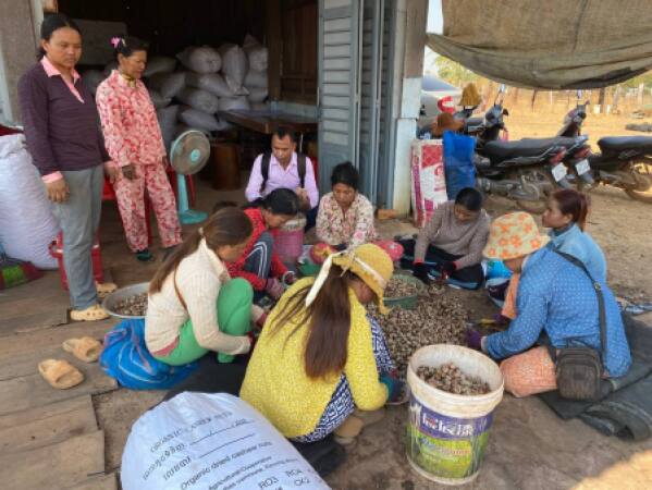 ចុះសិក្សានិងវាយតម្លៃជ្រើសរើសសហគមន៍កសិកម្ម សម្រាប់ស្នើសុំការគាំទ្រហេដ្ឋារចនាសម្ព័ន្ឋខ្នាតតូចពីគម្រោង នៅស្រុករវៀង ស្រុកជ័យសែន ស្រុកគូលែន និងស្រុកជាំក្សាន្ត