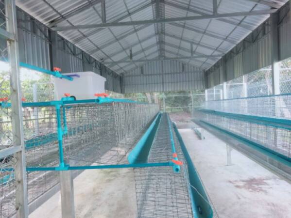 ចុះត្រួតពិនិត្យ និងវាយតម្លៃការសាងសង់របងព័ទ្ធជុំវិញទ្រុងមាន់ និងបំពាក់សម្ភារៈស្នូកទឹក ស្នូកចំណី ទ្រុងមាន់ និងទ្រុងកូនមាន់ ក្នុងខេត្តត្បូងឃ្មុំ និងខេត្តកំពង់ធំ