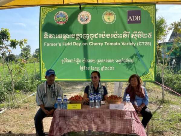 ចងក្រងវីឌីអូឯកសារ សកម្មភាពទិវាចម្ការបង្ហាញពូជប៉េងប៉ោះឆឺរី CT25 ដែលរៀបចំដោយផ្នែកស្រាវជ្រាវនិងអភិវឌ្ឍពូជដំណាំ នៃវិទ្យាស្ថាន CARDI